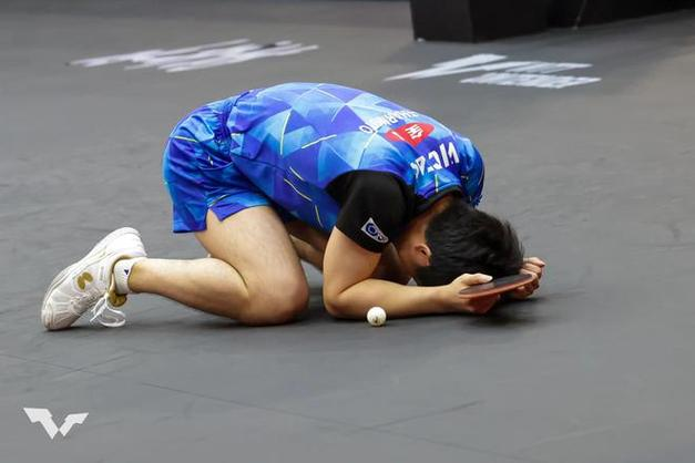 包含马来西亚羽毛球队横扫韩国羽毛球队，陶菲克关键制胜的词条