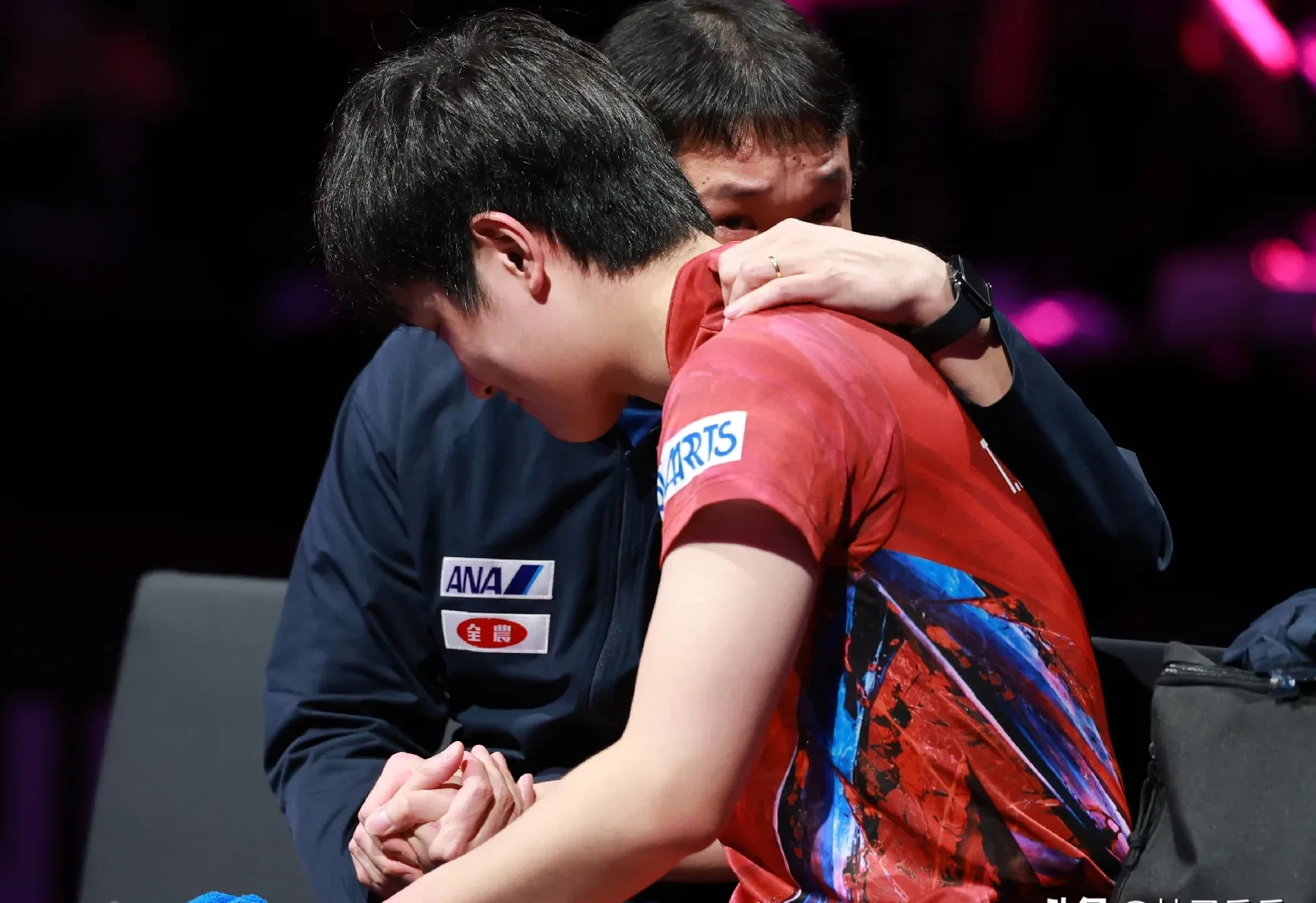 包含奥地利队碾压德国队，张本智和刷新纪录的词条