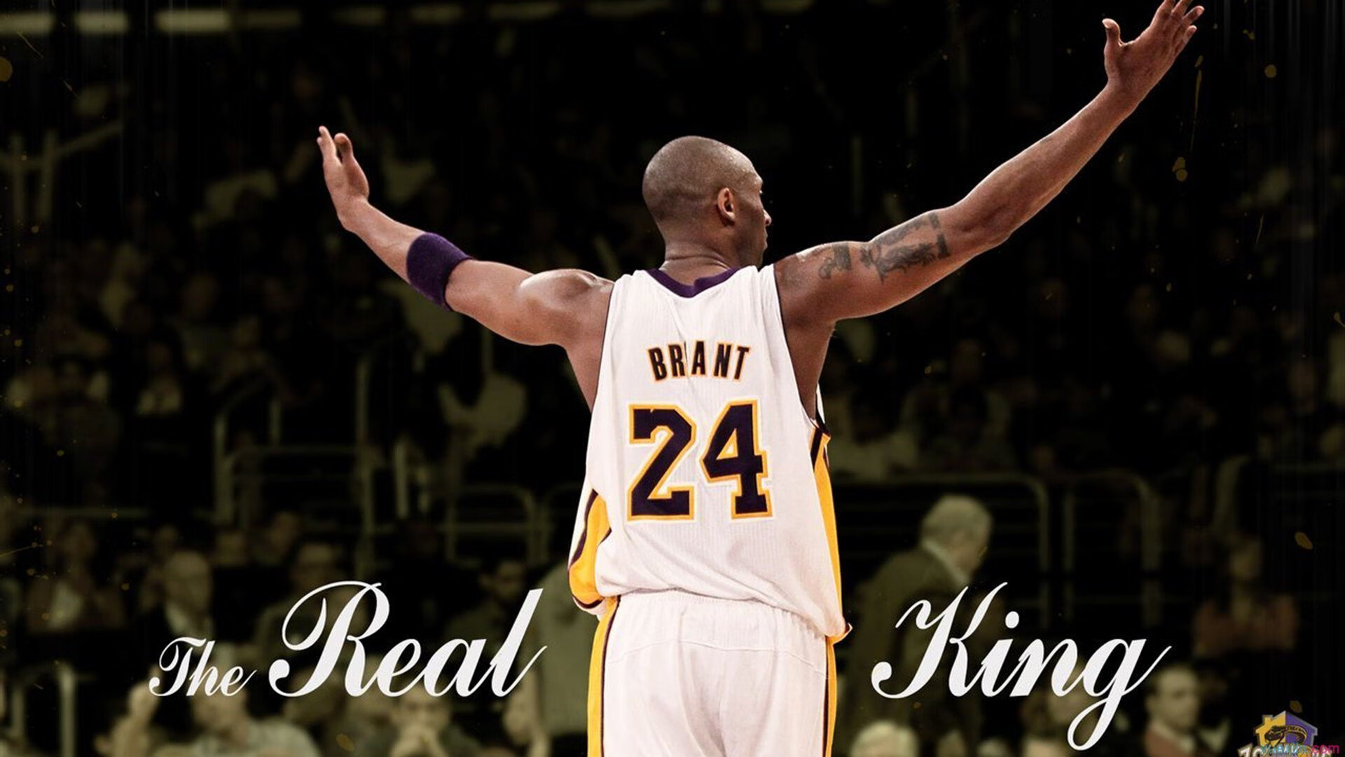 爱游戏-当非洲雄狮遭遇咖啡军团，C罗式无解难题的绿茵镜像