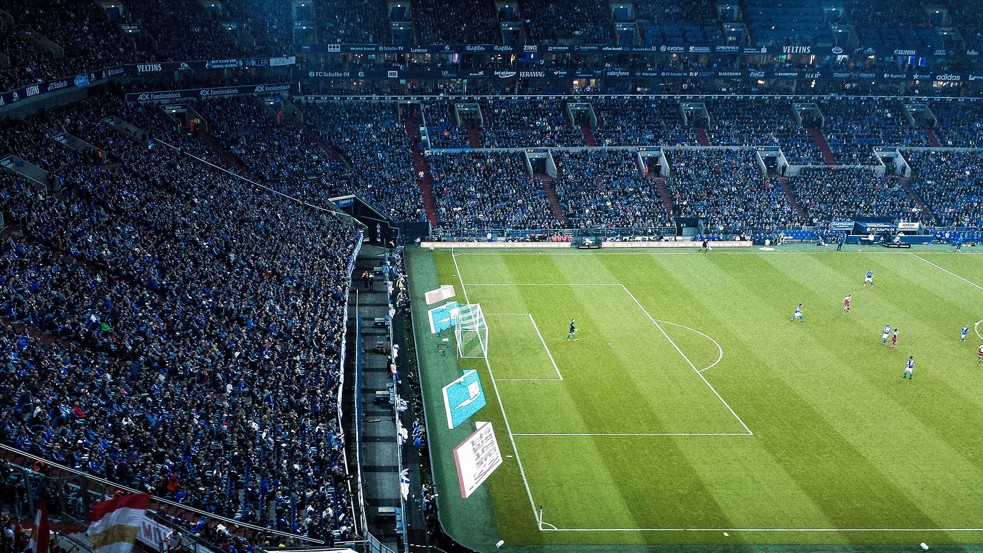 范弗利特单骑破阵，开拓者三叉戟火力全开碾碎黄蜂